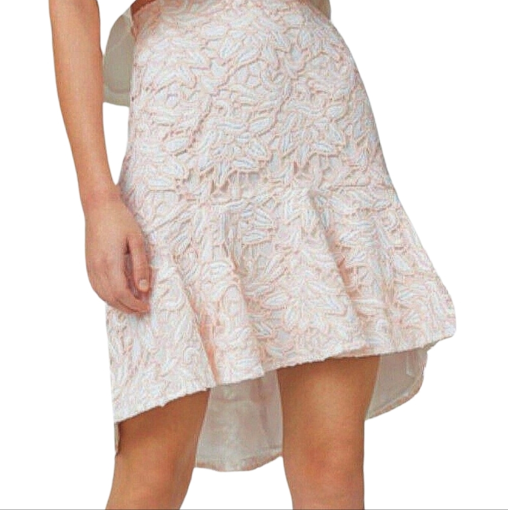 Club Monaco Blush Lace Mini Skirt Floral Embroidered High Waist Size 00